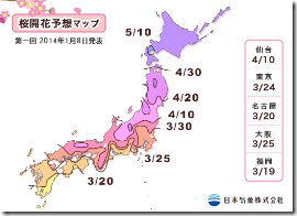 桜開花2014