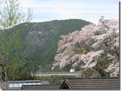 280409小野から東中