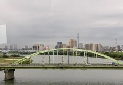 IMG_8658.jpg