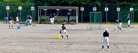 IMG_3381.jpg