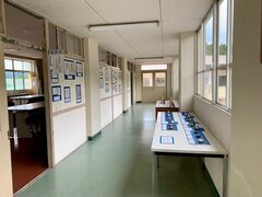 IMG_4287.jpg