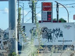 IMG_5642.jpg