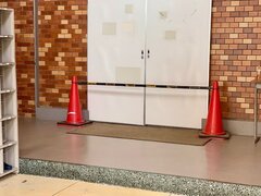 IMG_6272.jpg