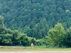 IMG_6273.jpg
