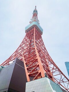 IMG_7379.jpg