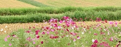IMG_6892.jpg