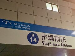IMG_7358.jpg