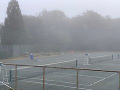 IMG_8022.jpg