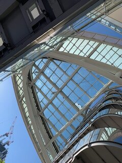 IMG_8095.jpg