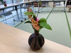 IMG_8125.jpg