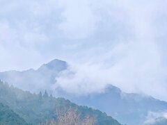 IMG_9298.jpg