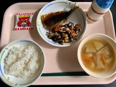 IMG_9950.jpg