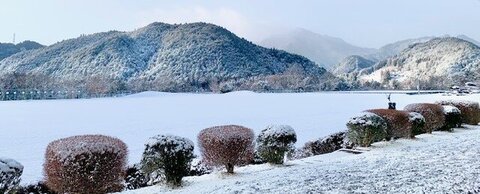 IMG_9992.jpg