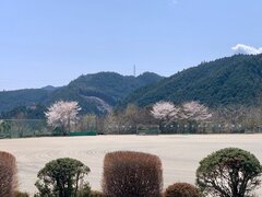 IMG_1239.jpg