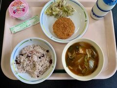 IMG_1310.jpg