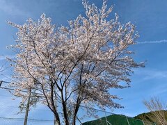 IMG_1285.jpg