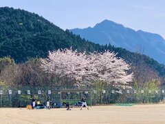 IMG_1298.jpg
