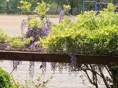 IMG_1559.jpg