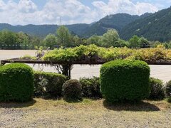 IMG_1560.jpg