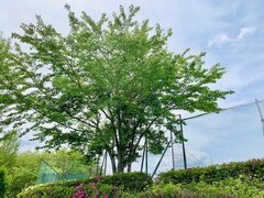IMG_1636.jpg