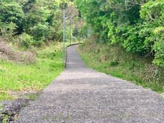 IMG_1637.jpg
