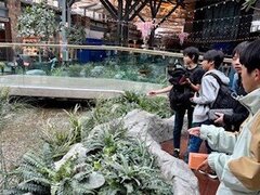 IMG_2565.jpg