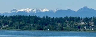 IMG_2315.jpg