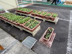 IMG_2787.jpg