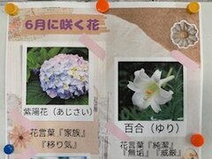 IMG_2939.jpg