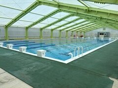 IMG_3384.jpg