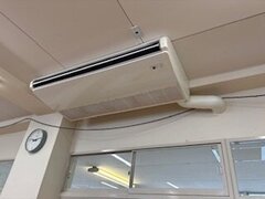 IMG_3472.jpg