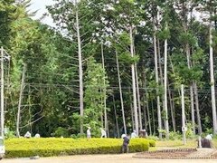 IMG_4193.jpg