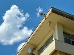 IMG_4332.jpg