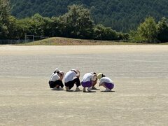 IMG_4331.jpg