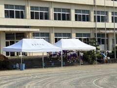IMG_4246.jpg