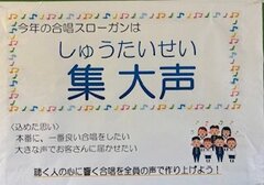 IMG_5298.jpg