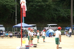 DSC06966.JPG