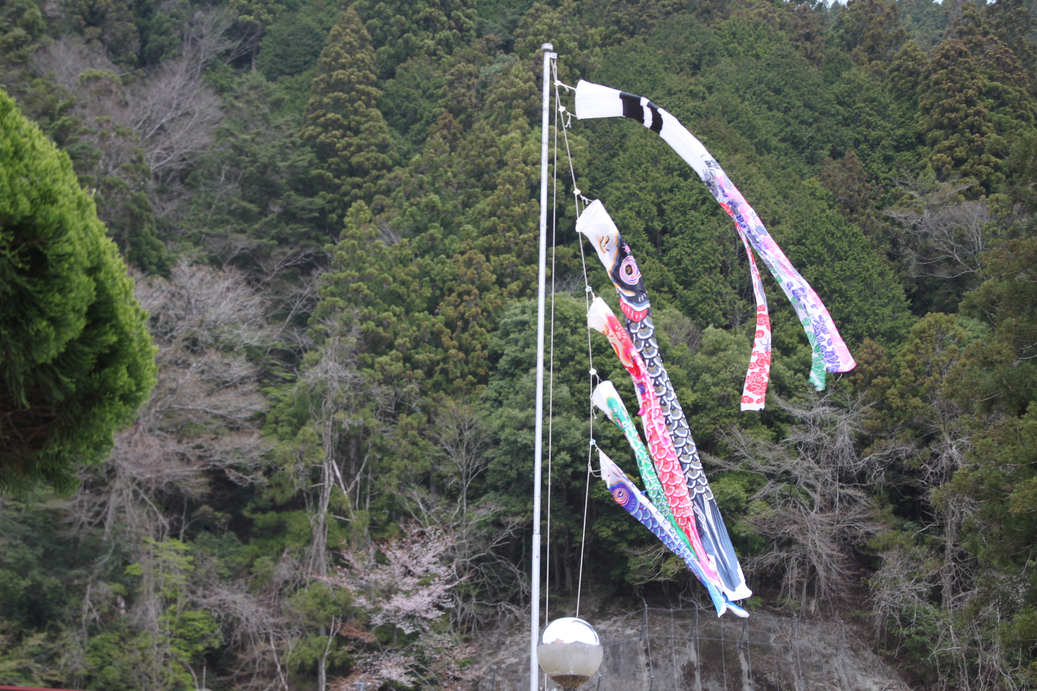 http://www.kitashitara.jp/toyone-jh/006%20%282%29.JPG