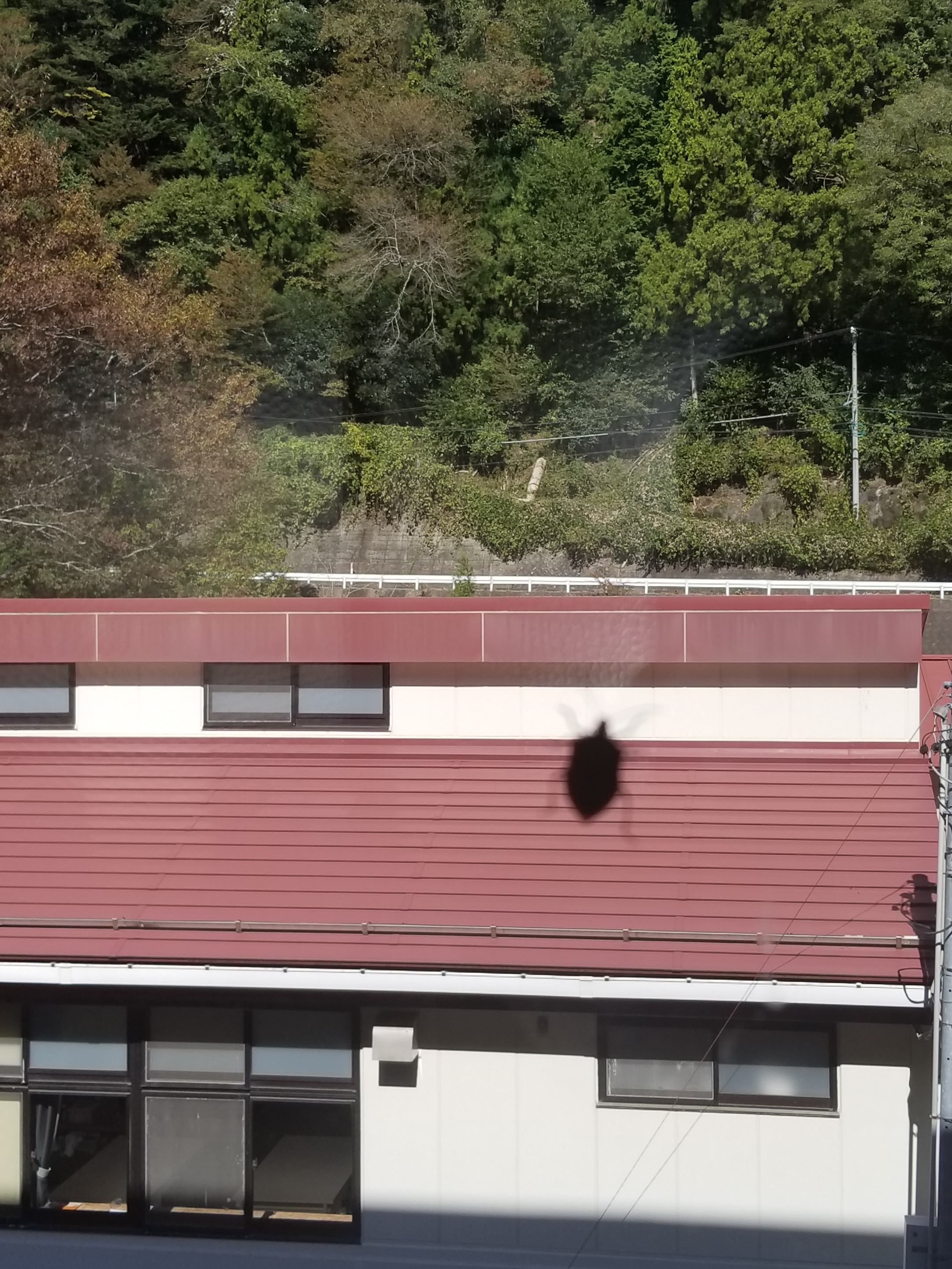 http://www.kitashitara.jp/toyone-jh/20181025_105320.jpg