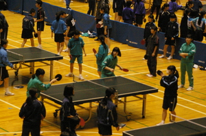IMGP7488.JPG