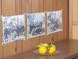20181211_081522.jpg