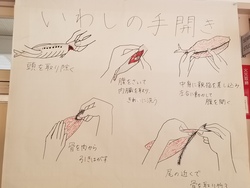 20190116_121656.jpg