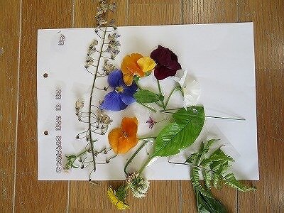 IMG_1681.jpg