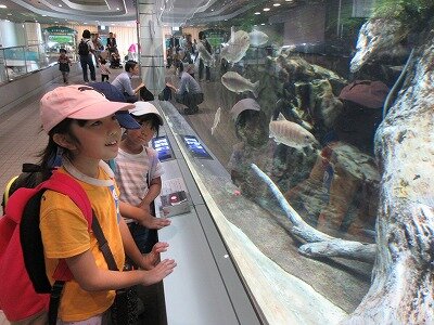 IMG_0433.jpg