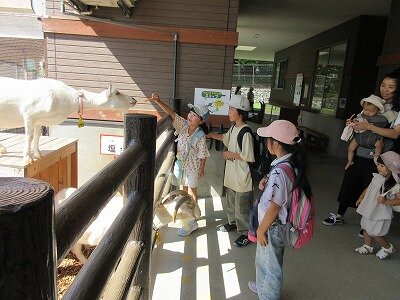 IMG_1714.jpg