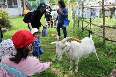 IMG_2410.jpg