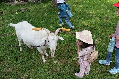 IMG_2414.jpg
