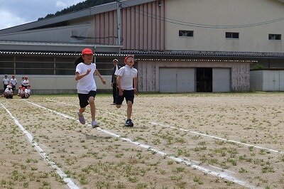 IMG_3154.jpg