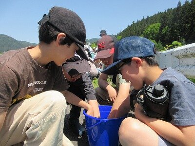 IMG_3158.jpg