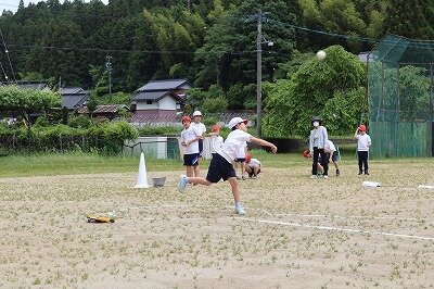 IMG_3225.jpg